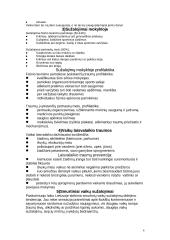 Traumatizmas ir jo profilaktika 6 puslapis