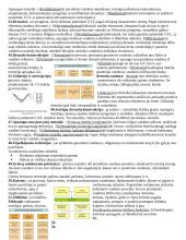 Kraštotvarkos urbanistika 5 puslapis