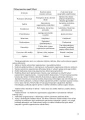 Įvadas į vadybos pagrindus 12 puslapis