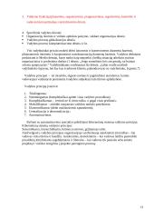 Įvadas į vadybos pagrindus 13 puslapis