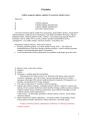 Įvadas į vadybos pagrindus 3 puslapis