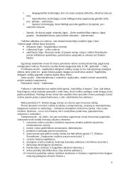 Įvadas į vadybos pagrindus 6 puslapis