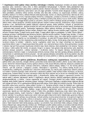 Viskas apie vadybą 2 puslapis