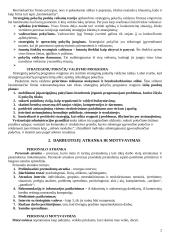 Strategijos įgyvendinimas ir valdymas 2 puslapis