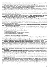 Strategijos įgyvendinimas ir valdymas 11 puslapis