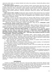 Strategijos įgyvendinimas ir valdymas 12 puslapis