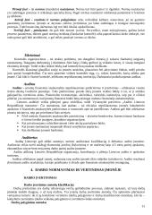 Strategijos įgyvendinimas ir valdymas 13 puslapis