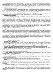 Strategijos įgyvendinimas ir valdymas 14 puslapis