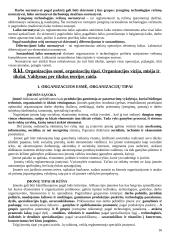 Strategijos įgyvendinimas ir valdymas 16 puslapis