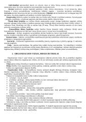 Strategijos įgyvendinimas ir valdymas 17 puslapis