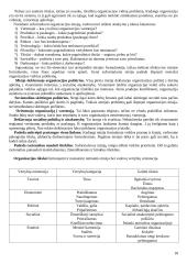 Strategijos įgyvendinimas ir valdymas 18 puslapis