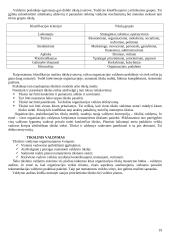 Strategijos įgyvendinimas ir valdymas 19 puslapis