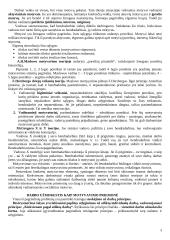 Strategijos įgyvendinimas ir valdymas 3 puslapis