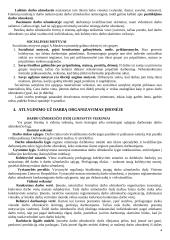 Strategijos įgyvendinimas ir valdymas 4 puslapis