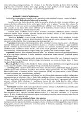 Strategijos įgyvendinimas ir valdymas 5 puslapis