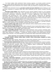 Strategijos įgyvendinimas ir valdymas 6 puslapis