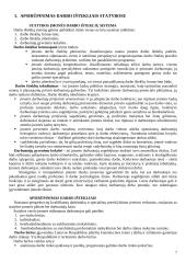 Strategijos įgyvendinimas ir valdymas 7 puslapis