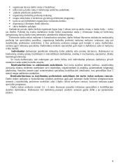 Strategijos įgyvendinimas ir valdymas 8 puslapis