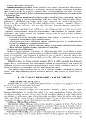 Strategijos įgyvendinimas ir valdymas 10 puslapis