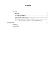 Akcizai; kursinis darbas