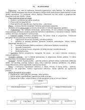 Vadybos mokslas 12 puslapis