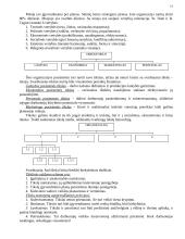 Vadybos mokslas 13 puslapis