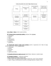 Vadybos mokslas 15 puslapis