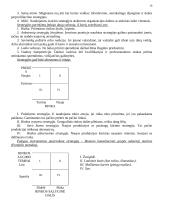 Vadybos mokslas 16 puslapis