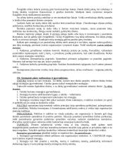 Vadybos mokslas 17 puslapis