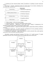 Vadybos mokslas 18 puslapis