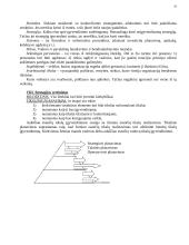 Vadybos mokslas 19 puslapis