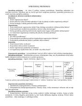 Vadybos mokslas 20 puslapis