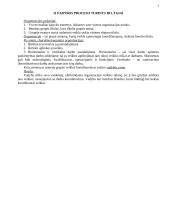 Vadybos mokslas 3 puslapis