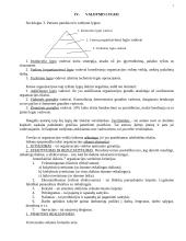 Vadybos mokslas 7 puslapis