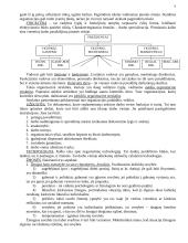 Vadybos mokslas 9 puslapis