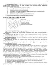 Vadybos mokslas 10 puslapis