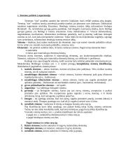 Vadyba organizacijoje