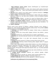 Vadyba organizacijoje 2 puslapis