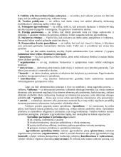 Vadyba organizacijoje 12 puslapis