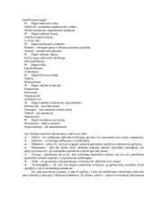 Vadyba organizacijoje 16 puslapis