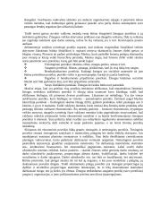 Vadyba organizacijoje 18 puslapis