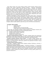 Vadyba organizacijoje 19 puslapis