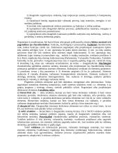 Vadyba organizacijoje 3 puslapis