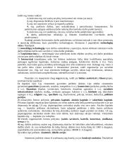 Vadyba organizacijoje 5 puslapis