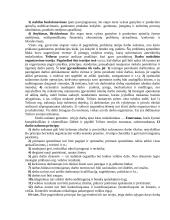 Vadyba organizacijoje 8 puslapis