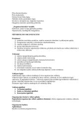 Vadybos teorijų evoliucija 4 puslapis