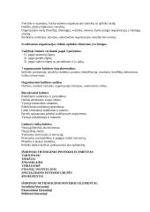 Vadybos teorijų evoliucija 5 puslapis