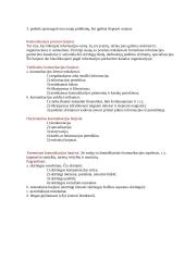 Organizacinė komunikacija 2 puslapis