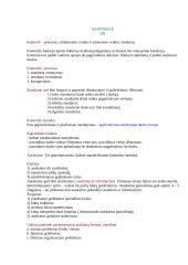 Organizacinė komunikacija 3 puslapis