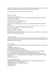 Organizacinė komunikacija 4 puslapis